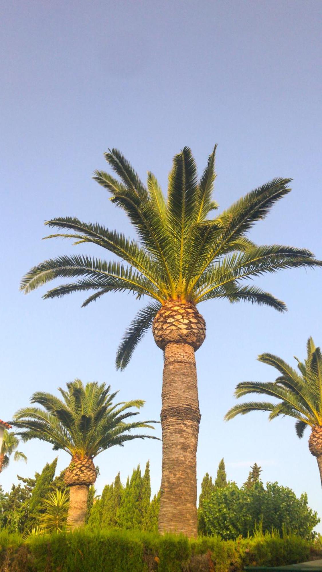 Denia El Palmar 183 Exterior foto